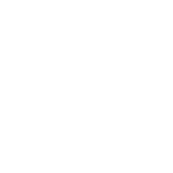 over twenty years of experience